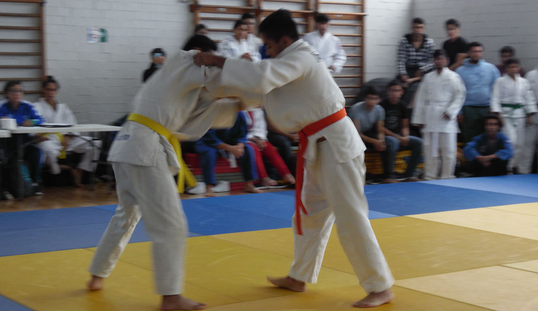 Nutrida participación en Interfacultades de Judo