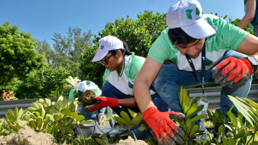 Asipona Veracruz planta árboles como parte de su campaña de educación ambiental