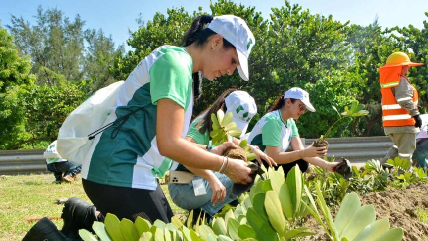 Asipona Veracruz planta árboles como parte de su campaña de educación ambiental