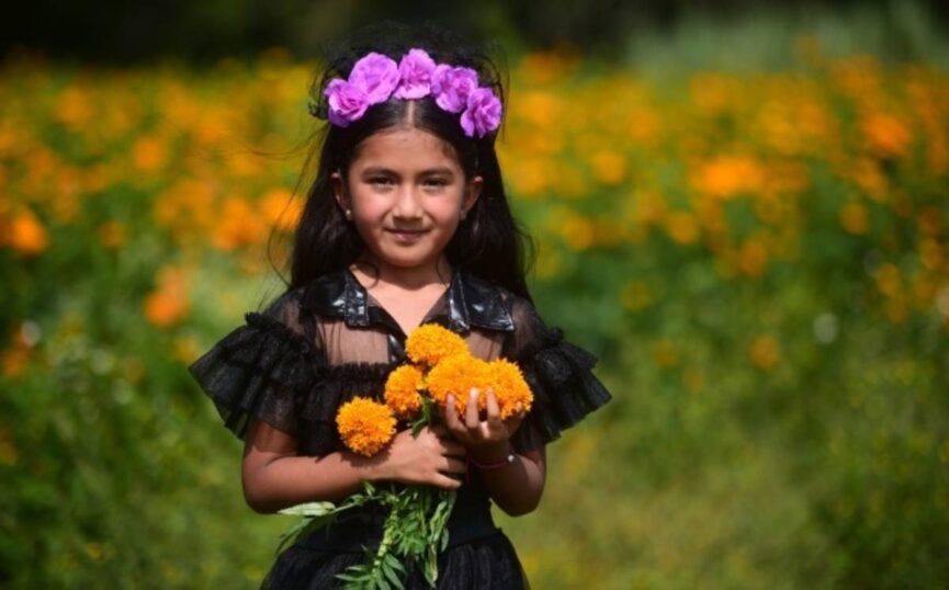 Viaje de flores, conoce el hermoso campo de cempasúchil en Veracruz