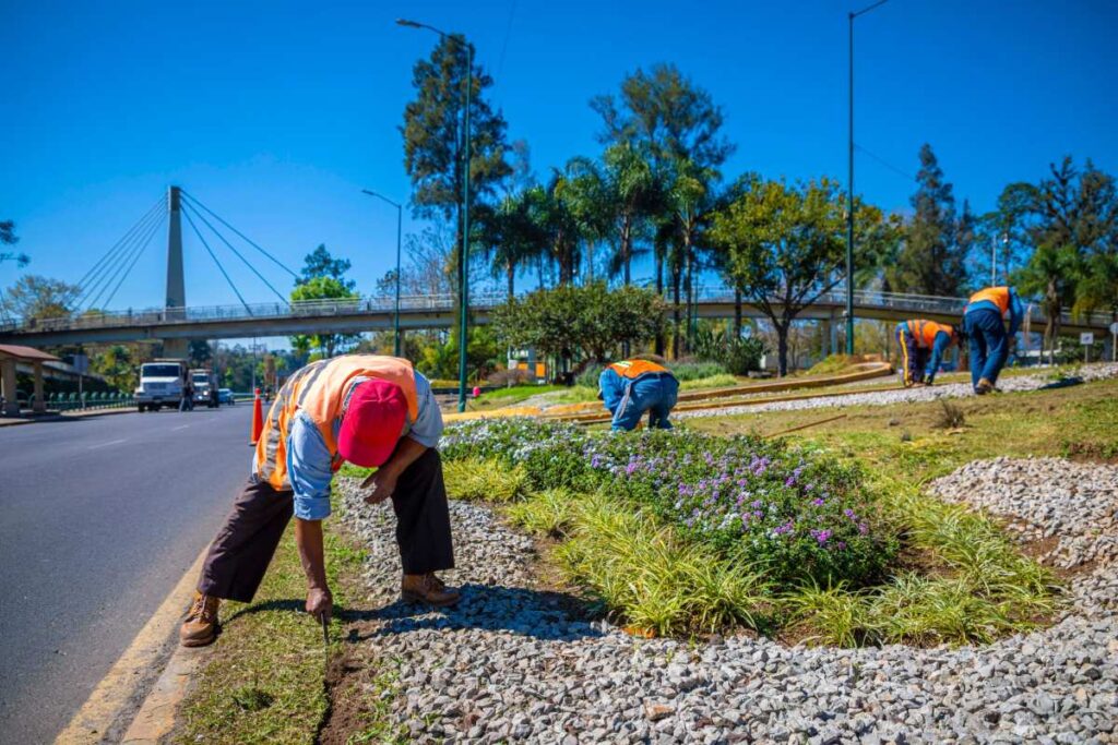 En Xalapa realizan trabajos de mantenimiento en áreas verdes ubicadas en avenidas principales.