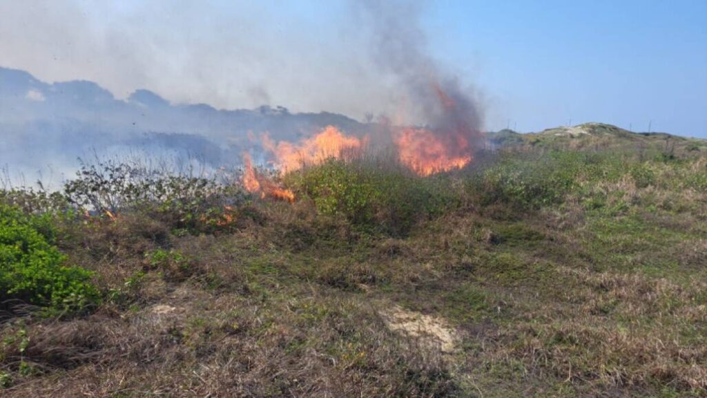 La Unidad Municipal de Protección Civil y Bomberos de Coatzacoalcos ha atendido un total de 242 incendios en diferentes áreas de la ciudad.